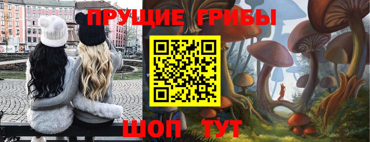купить наркотики сайты  Псилоцибиновые грибы мицелий  Вход с VPN  Корсаков 